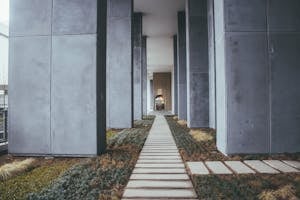 A path lined with tall columns and greenery exemplifies modern architectural design.