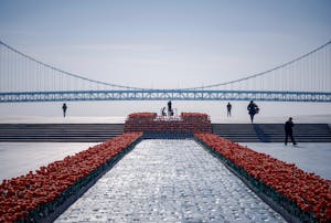 Elegant suspension bridge with a vibrant floral pathway in a serene outdoor setting.